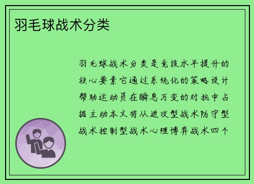 羽毛球战术分类